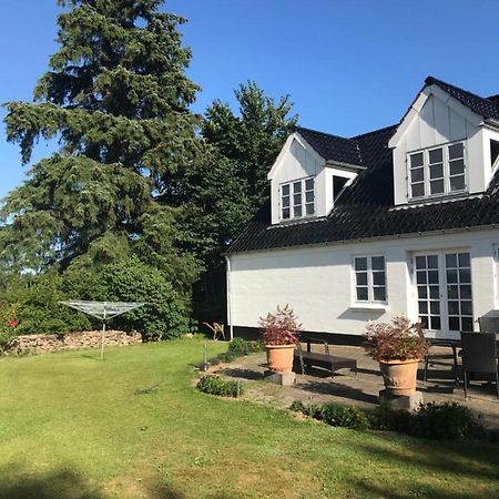 Pedersholt Bed & Breakfast Dybvad Екстер'єр фото