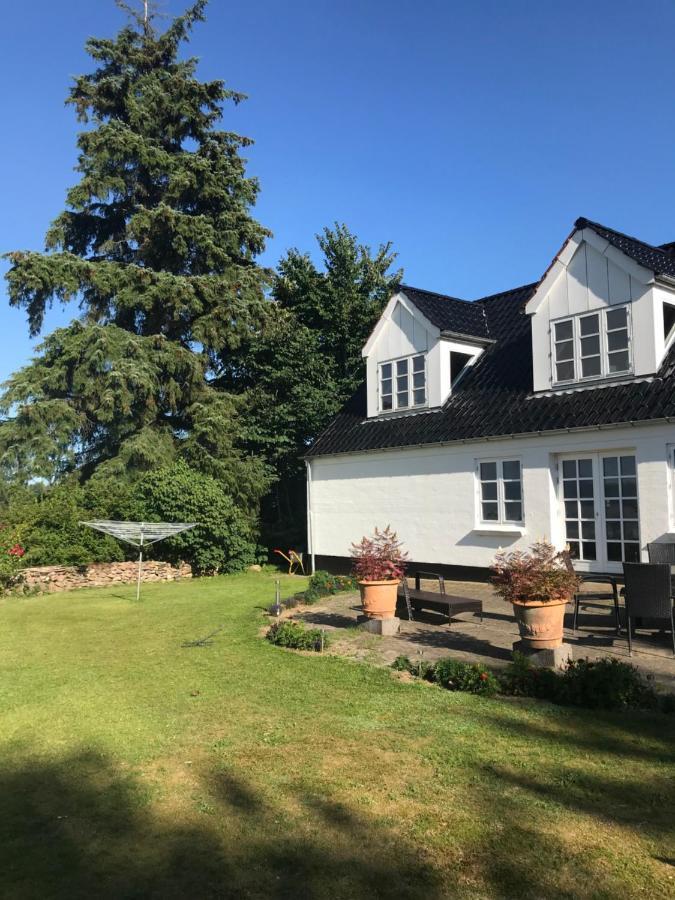 Pedersholt Bed & Breakfast Dybvad Екстер'єр фото